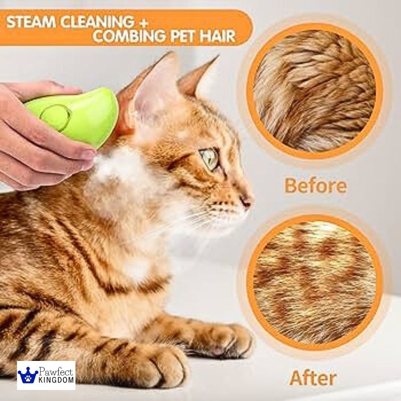 Pawfect Kingdom™ Steam Pet Brush